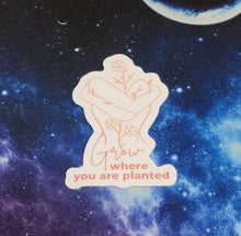 Load image into Gallery viewer, Grow Where You Are Planted - Sticker
