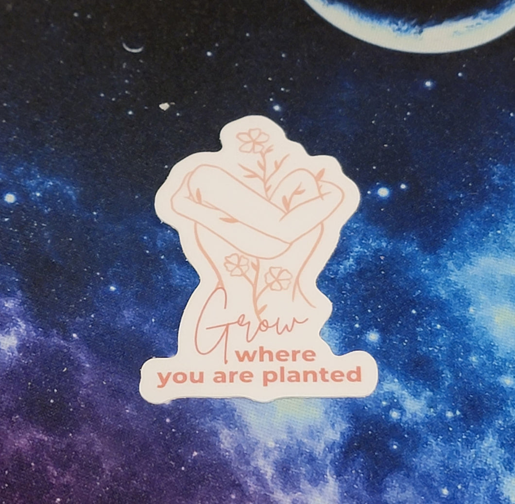 Grow Where You Are Planted - Sticker